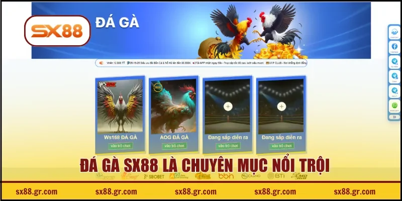 Đá gà SX88 là chuyên mục nổi trội