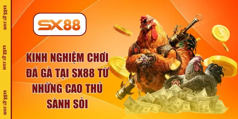 kinh nghiệm chơi