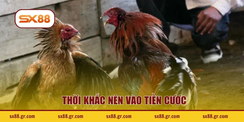Thời khắc nên vào tiền cược